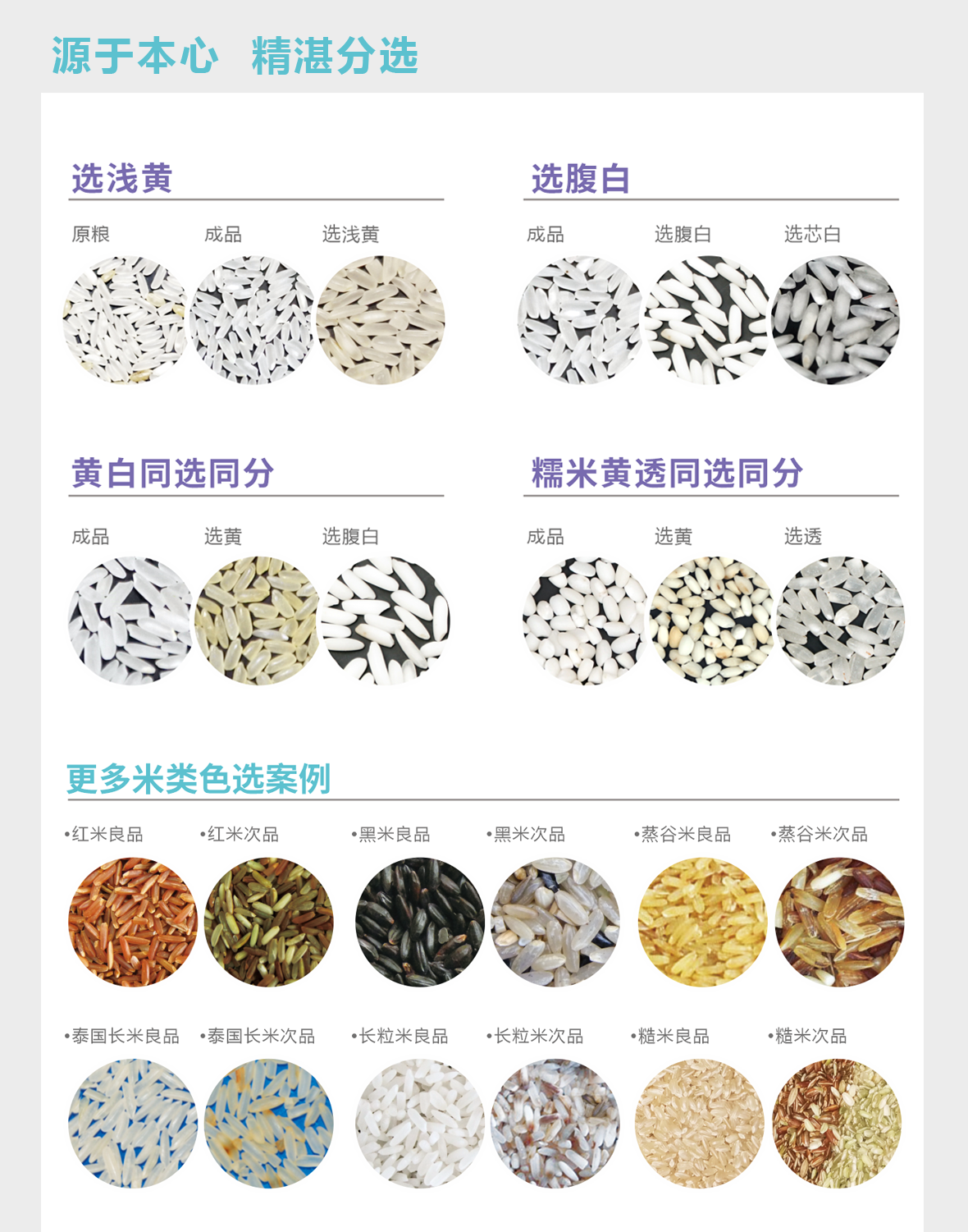 http://www.sf965.cn/Upload/ueditor/1629964530639556.png