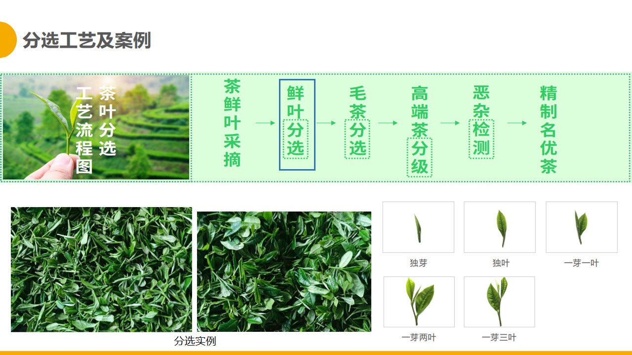 http://www.sf965.cn/Upload/ueditor/1681280335278777.jpg