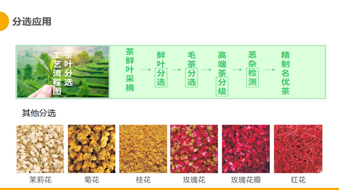 http://www.sf965.cn/Upload/ueditor/1681365602994585.jpg