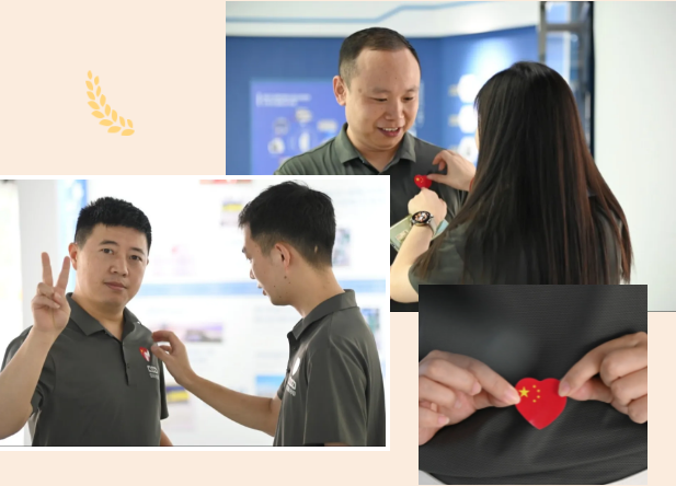 http://www.sf965.cn/Upload/ueditor/1728437268381782.png